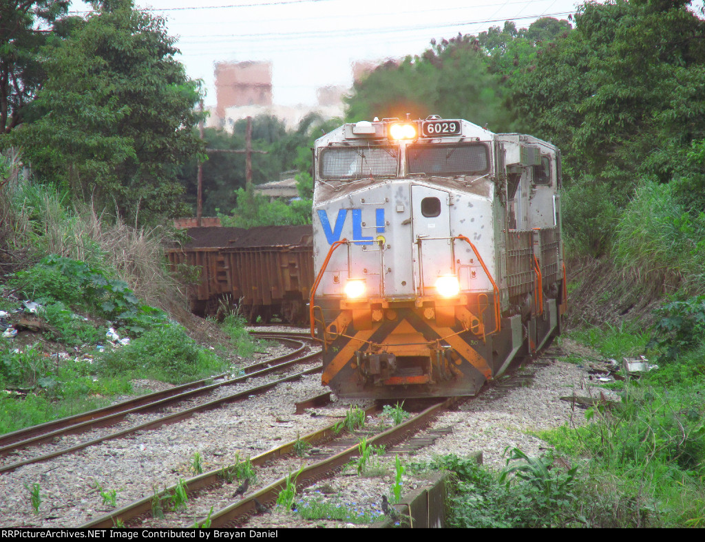 VLI 6029